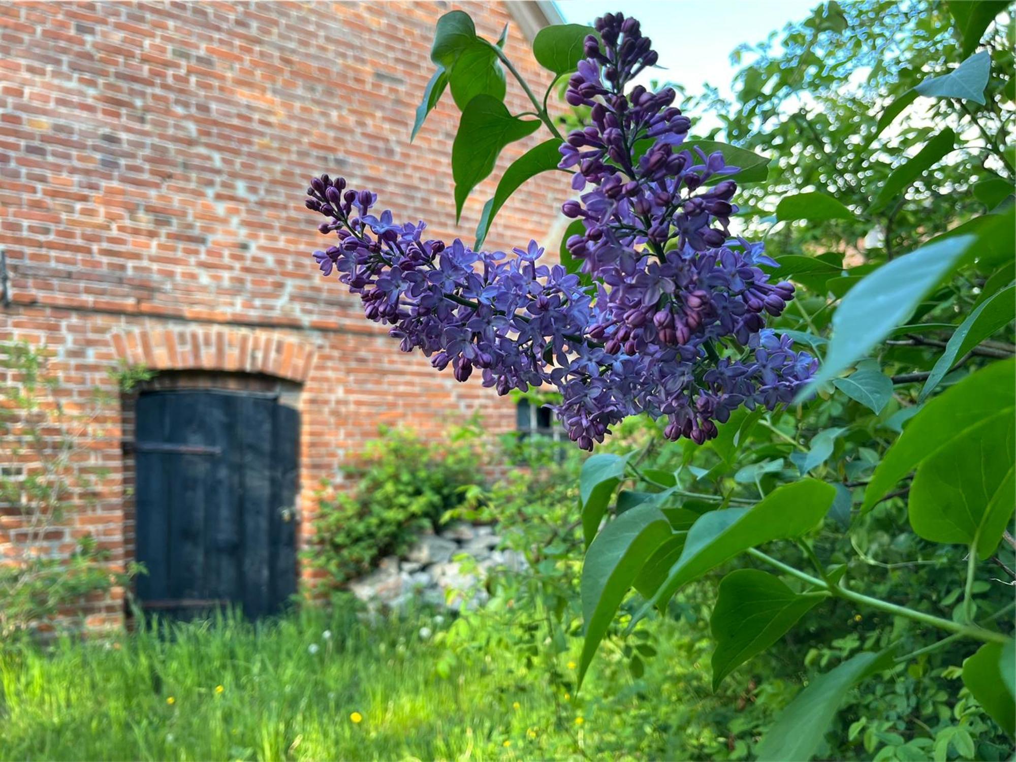 Alte Baeckerei Gnade Auf Ruegen Apartment Sehlen ภายนอก รูปภาพ